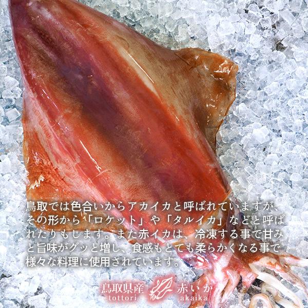 いか 赤イカ 約1kg 2p計6柵 肉厚 ソデイカ タルイカ 鳥取県産 烏賊 天ぷら 日本海 山陰沖 刺身 イカ いか刺 いか焼き お年賀 ギフト 送料無料 39 Akaika1 食紀行 Japanfood 通販 Yahoo ショッピング