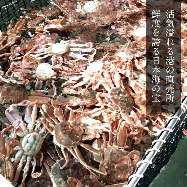 新物スタート かに 松葉ガニ 訳あり セコガニ メスb小 500g 松葉蟹 活がに 鳥取県産 せこ蟹 セイコ蟹 足折れマツバガニ 日本海ズワイガニ 送料無料 39 Mkani Bsks500 食紀行 Japanfood 通販 Yahoo ショッピング