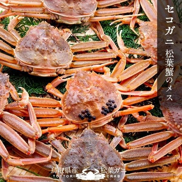 新物スタート かに 松葉ガニ 訳あり セコガニ メスb小 500g 松葉蟹 活がに 鳥取県産 せこ蟹 セイコ蟹 足折れマツバガニ 日本海ズワイガニ 送料無料 39 Mkani Bsks500 食紀行 Japanfood 通販 Yahoo ショッピング