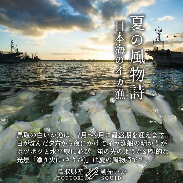 いか 白イカ 生 鳥取県産 烏賊 剣先イカ ケンサキイカ イカの女王 10杯 約2 7kg 刺し身 生食用 朝どれ 山陰沖産 産地直送 お年賀ギフト 送料無料 39 Shiroika 10 食紀行 Japanfood 通販 Yahoo ショッピング