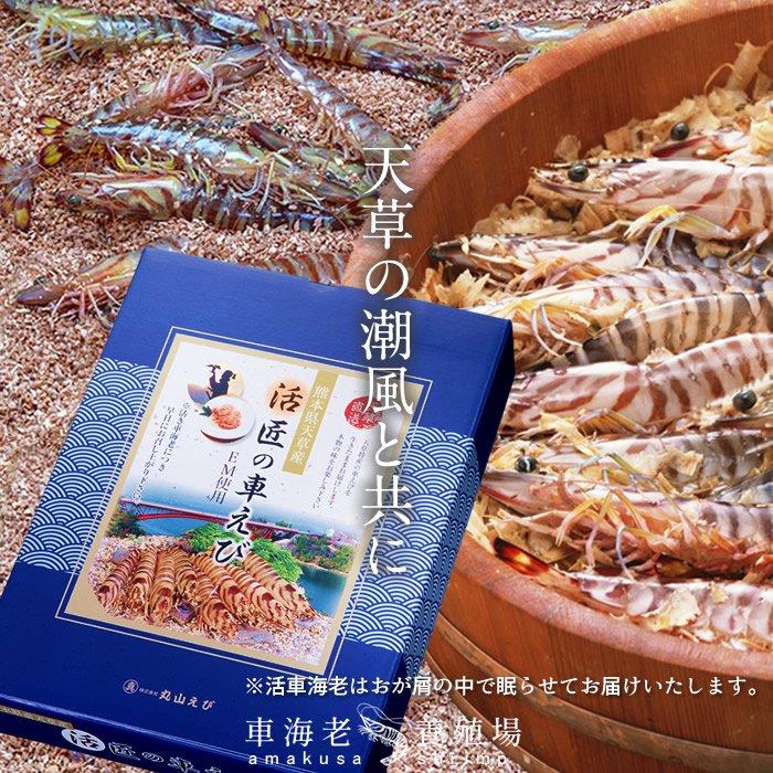 えび 車海老 お刺身 活き 特大 2l 10尾 予約販売 活車えび 熊本県上天草 匠の車エビ くるまえび 高級 お年賀 宅飲み クリスマス 年末年始 御歳暮 送料無料 46 Ebi 2l10 食紀行 Japanfood 通販 Yahoo ショッピング