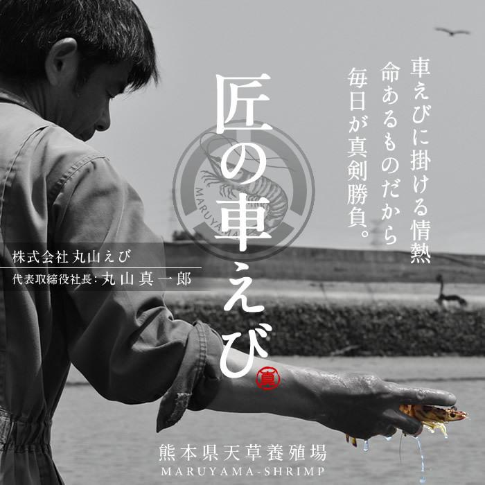 新商品 新型 えび 車海老 冷凍 お刺身用 活〆冷凍 特大 3l 5尾 250g 2p 計10尾 予約販売 熊本県上天草 匠の車エビ 海老 高級 宅飲み 産直 ギフト 母の日 父の日 送料無料 Wantannas Go Id