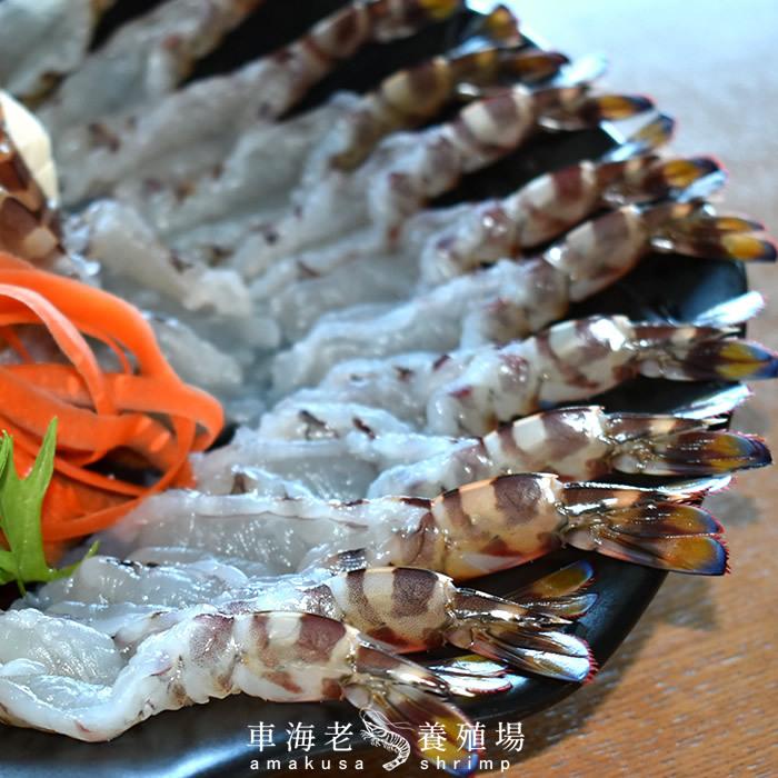 えび 車海老 しゃぶしゃぶ 海老しゃぶ［M］14枚入×4P 車エビ むき身 生 海鮮鍋 くるまえび 熊本県天草 匠の車えび［お歳暮 2023 ギフト 御歳暮］ 