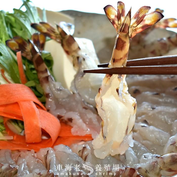 えび 車海老 しゃぶしゃぶ 海老しゃぶ［M］14枚入×5P 車エビ むき身 生 海鮮鍋 くるまえび 熊本県天草 匠の車えび［お歳暮 2023 ギフト 御歳暮］ 