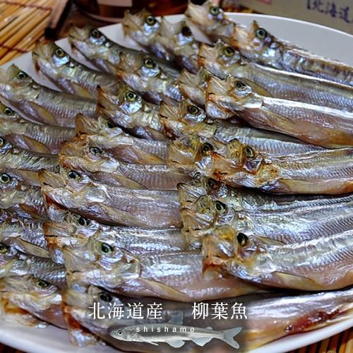 ししゃも 北海道産 シシャモ オス 大 30尾 本ししゃも 生干し 青空レストラン 干物 鵡川工場 むかわ 人気通販 冬ギフト お返し 1 Shishamo L 食コレ Japan Food 通販 Yahoo ショッピング