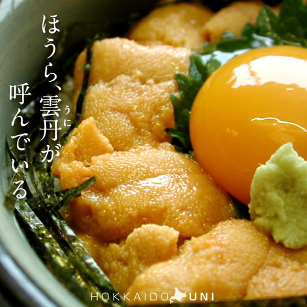 うに 生うに 塩水漬け 食べ比べ 特選 100g 2種類 蝦夷バフンウニ キタムラサキウニ 北海道産 贅沢 生ウニ 送料無料 1 Uni Bm100g2 食コレ Japan Food 通販 Yahoo ショッピング