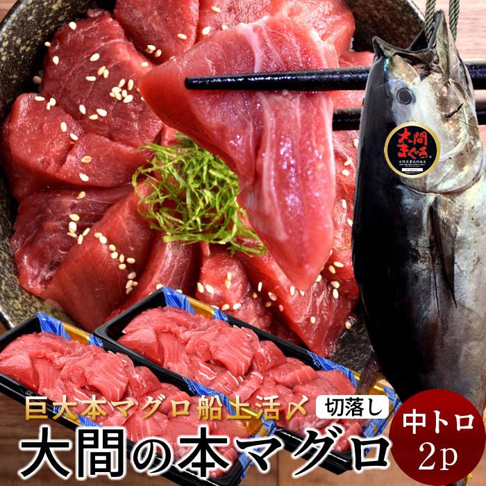 魚介類 極上！大間の本マグロ！食べやすいサイズにカットされてます！2