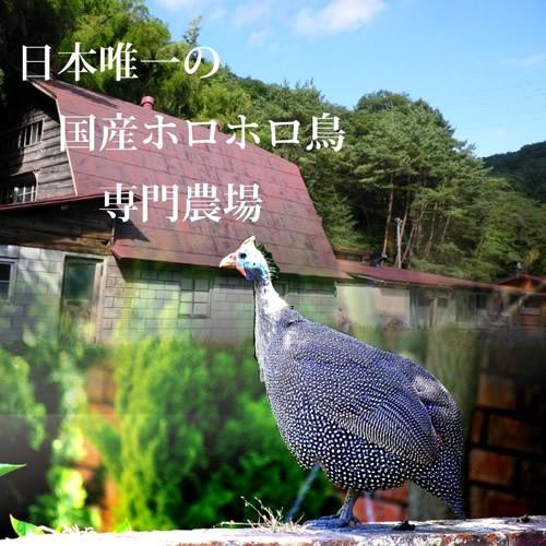 ホロホロ鳥 国産 ほろほろ鳥 粗挽きフランク［4本入］ 安心の国内農場