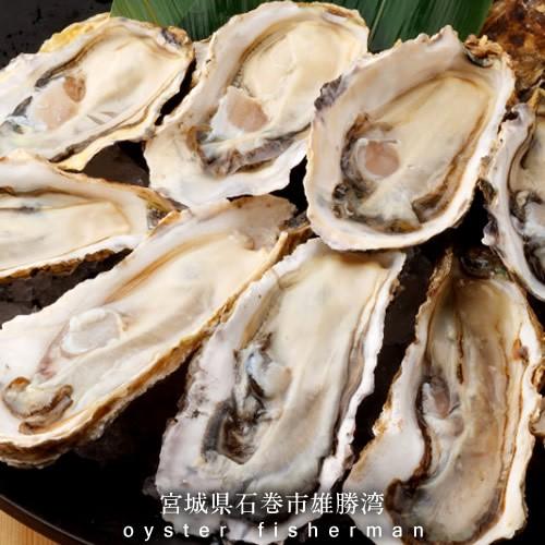 開店祝い 生牡蠣 殻付き 特大 夢牡蠣 40個 生食用 生ガキ 大粒生牡蠣 特大 三陸宮城県産石巻 バーベキュー 値引きする Studiostodulky Cz