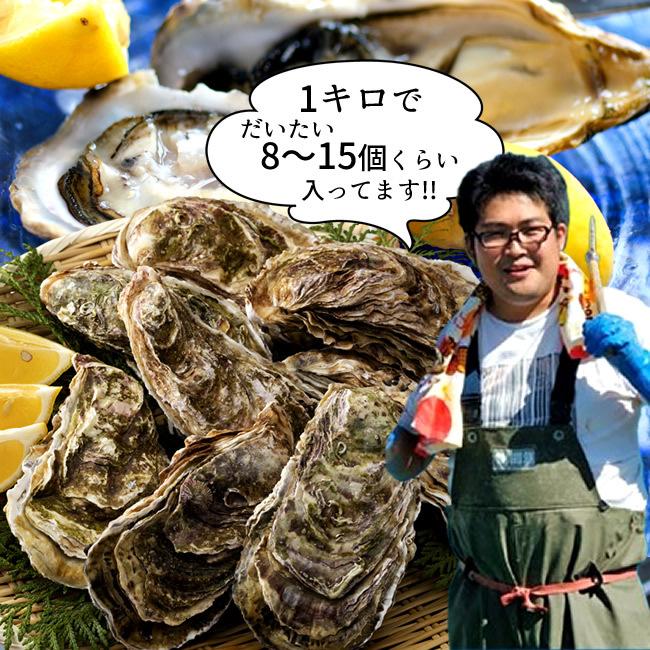 牡蠣 訳あり [規格外] 2kg 加熱用 殻付き牡蛎 漁師直送 カキ 生かき 三陸 宮城県産［ 父の日 ギフト 2024］｜shokukore｜18