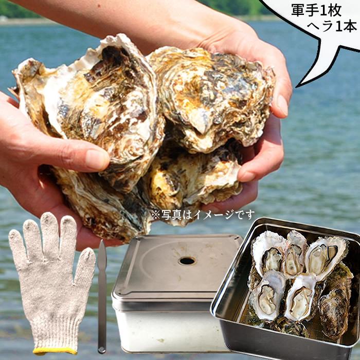 ★11時間以内発送★美品 牡蠣 カンカン焼きセット L 40個［10個入×4缶］【冷凍タイプ】宮城県産 加熱用 缶付き ガンガン焼き ふるさと［お歳暮 2023 ギフト 御歳暮］ 【SK1715036337】(10270円)