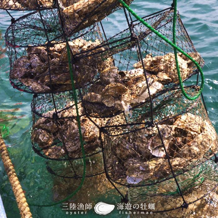 ★11時間以内発送★美品 牡蠣 カンカン焼きセット L 40個［10個入×4缶］【冷凍タイプ】宮城県産 加熱用 缶付き ガンガン焼き ふるさと［お歳暮 2023 ギフト 御歳暮］ 【SK1715036337】(10270円)