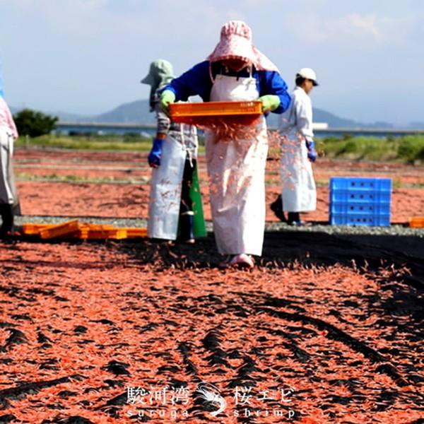 さくらえび 素干し 桜えび [15g×2P] 静岡県 由比港 駿河湾産 無添加 桜海老 送料無料クリックポスト［ 父の日 ギフト 2024］｜shokukore｜07