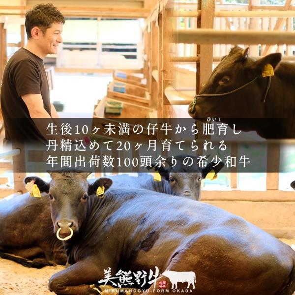 焼肉セット500g 牛肉 幻の黒毛和牛 美熊野牛 特選 上カルビ 上赤身 各250g 焼き肉用 みくまのぎゅう 岡田牧場 送料無料 母の日 ギフト 26 Ribred500ga 食コレ Japan Food 通販 Yahoo ショッピング