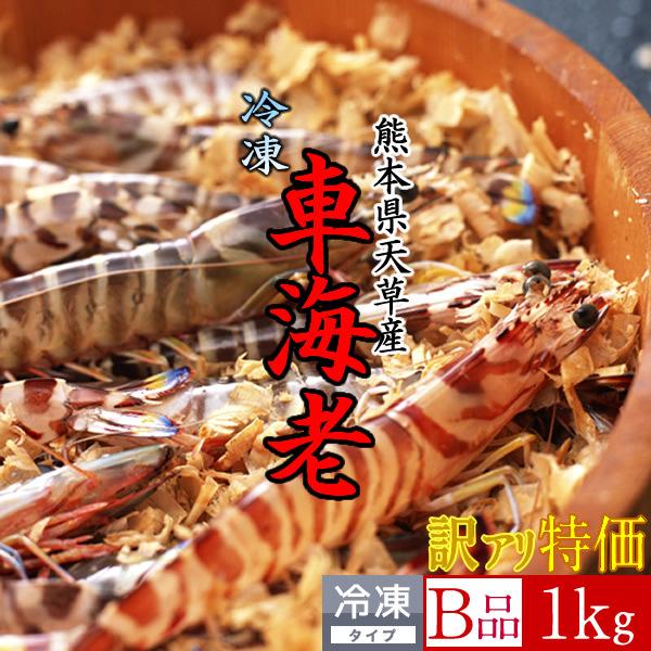 55 以上節約 えび 車海老 活〆冷凍 加熱用 訳あり 車えび 1kg 不揃い お買い得 熊本県天草産 急速冷凍 活締め エビフライ q 焼きえび 新品本物 Www Iniciatupyme Cl