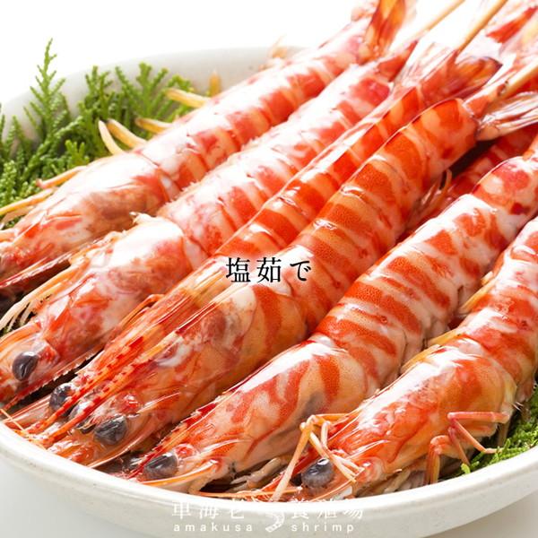 【新えびスタート】車海老 生きたまま クルマエビ 特大 2L 2.5kg(60-70尾) 活車海老 活き 刺身 車えび 熊本県天草［お歳暮 2023 ギフト 御歳暮］ 特大 2L 活車海老