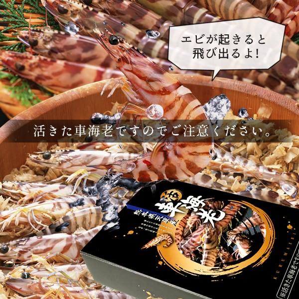 【新えびスタート】車海老 生きたまま クルマエビ 特大 2L 2.5kg(60-70尾) 活車海老 活き 刺身 車えび 熊本県天草［お歳暮 2023 ギフト 御歳暮］ 特大 2L 活車海老