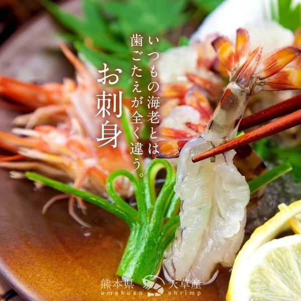 車海老 生きたまま 新物 クルマエビ 250g 特小14 15尾 活車えび 活き 刺身 熊本県天草 おすすめ 高級 養殖場 生産者 産地直送 人気通販 お歳暮 ギフト 30 Kurmaebi Ss250g 食コレ Japan Food 通販 Yahoo ショッピング