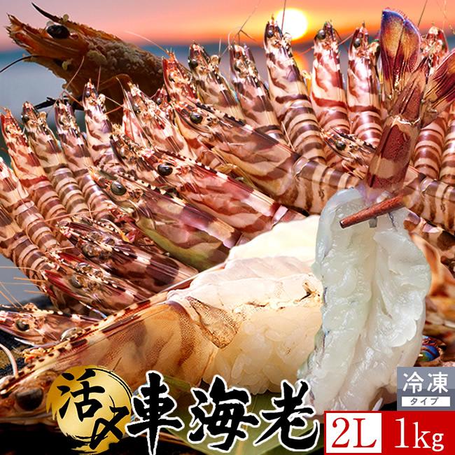 車海老 天草 冷凍 活き〆 特大 2L 1kg [24-28尾] 車えび 刺身用 フライ