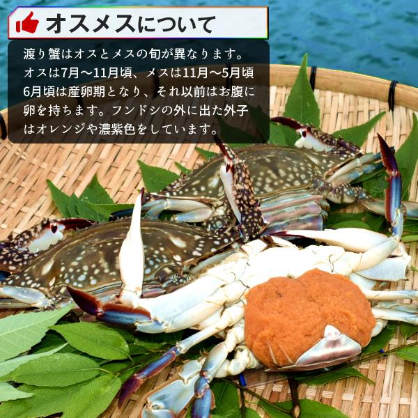 ワタリガニ直売 活〆 有明海 生 渡り蟹 約350g(S)×2尾 わたりがに 熊本県上天草市 旬 活締め冷凍 ボイルして本格パスタに［ 父の日 ギフト 2024］｜shokukore｜09