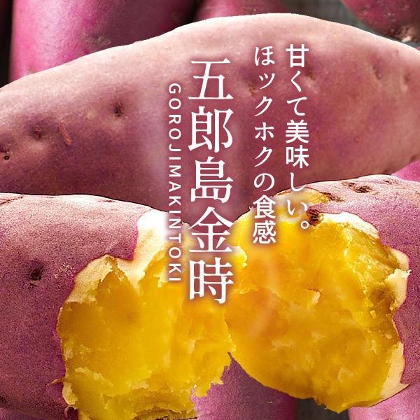 さつまいも 五郎島金時 10kg 良 中 訳あり 不揃い 石川県産 金沢市 加賀野菜 ブランド 高級 生いも 加賀百万石 伝統 送料無料 敬老の日 ギフト 33 Imo10kg Cm 食コレ Japan Food 通販 Yahoo ショッピング