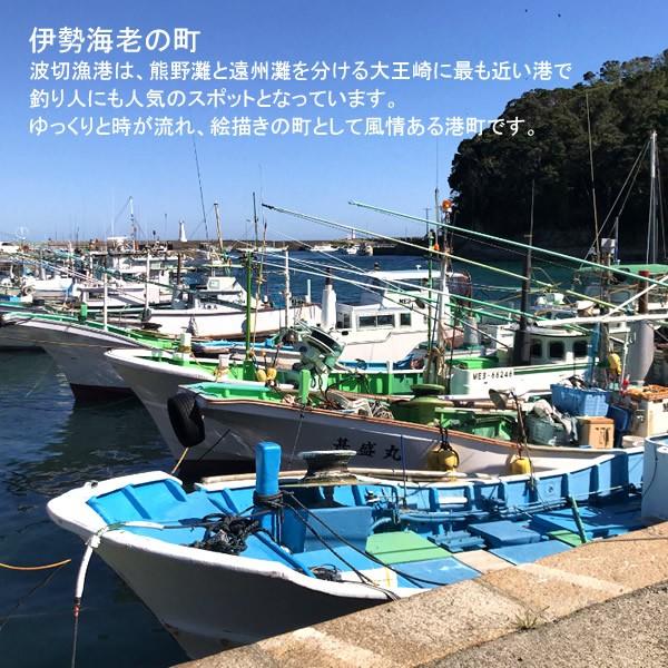 伊勢海老 刺身 生きたまま 約200g×5尾 活伊勢エビ 本場三重県産 いせえび 志摩波切漁港 生簀活魚 産地直送［お歳暮 2023 ギフト 御歳暮］ 活伊勢エビ