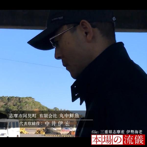 伊勢海老 刺身 生きたまま 約200g×5尾 活伊勢エビ 本場三重県産 いせえび 志摩波切漁港 生簀活魚 産地直送［お歳暮 2023 ギフト 御歳暮］ 活伊勢エビ