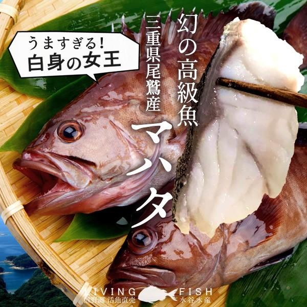 マハタ 鍋セット 三重県尾鷲産 活魚養殖場 幻の高級魚 白身魚の最高峰 まるごと1尾 人気通販 春ギフト お返し 37 Mahata N 食コレ Japan Food 通販 Yahoo ショッピング