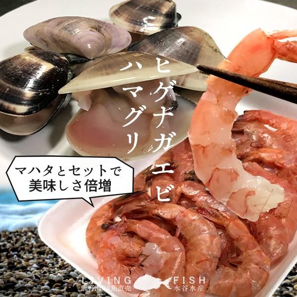 マハタ 海鮮鍋セット エビ ハマグリ付き 三重県尾鷲産 活魚養殖場 幻の高級魚 白身魚の最高峰 まるごと1尾 お中元 ギフト 37 Mahata Nk 食コレ Japan Food 通販 Yahoo ショッピング