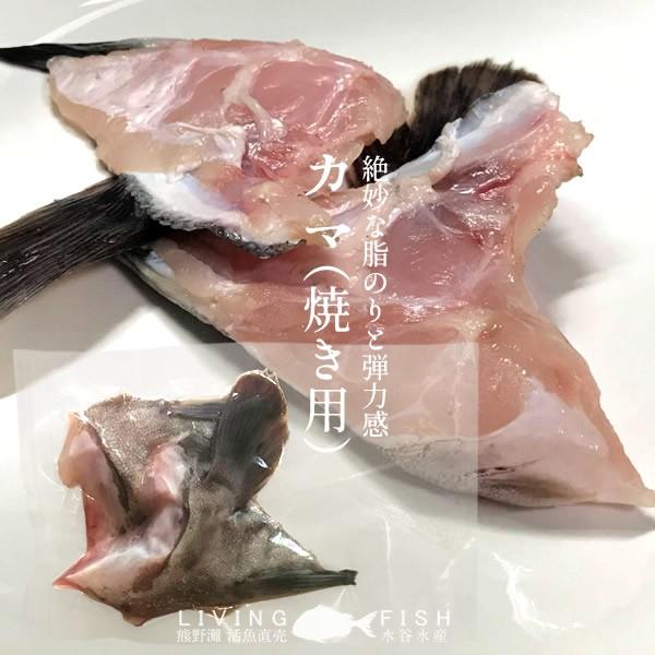 マハタ 海鮮鍋セット エビ ハマグリ付き 三重県尾鷲産 活魚養殖場 幻の高級魚 白身魚の最高峰 まるごと1尾 お中元 ギフト 37 Mahata Nk 食コレ Japan Food 通販 Yahoo ショッピング