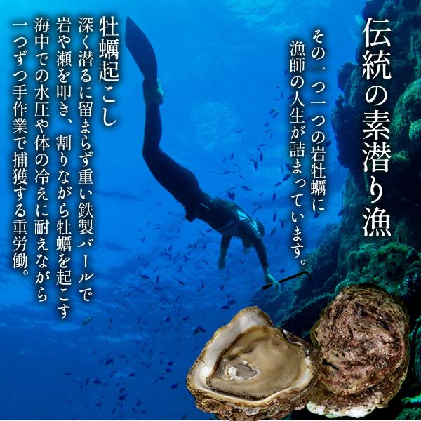 岩牡蠣 生牡蠣 2kg(6-7個)天然 殻付き生カキ 鳥取県産 岩がき 生食 2