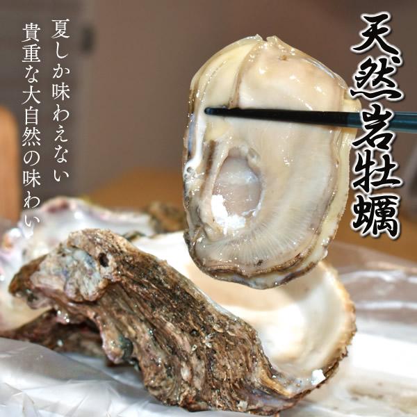 岩牡蠣 生牡蠣 2kg(6-7個)天然 殻付き生カキ 鳥取県産 岩がき 生食 2