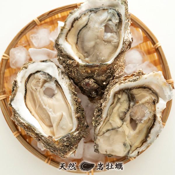 岩牡蠣 生牡蠣 2kg(6-7個)天然 殻付き生カキ 鳥取県産 岩がき 生食 2