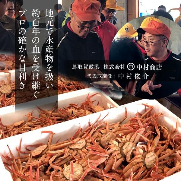 香箱がに せこ蟹 セイコガニ［大］3kg 活がに 活き 子持ち 生 新物 メス 親蟹 せこがに せいこ蟹 香箱蟹 鳥取県産［お歳暮 2023 ギフト 御歳暮］ 親蟹