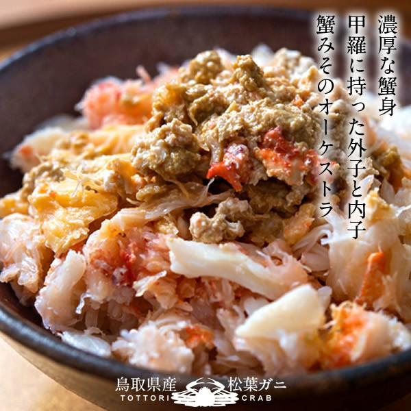 香箱がに せこ蟹 セイコガニ［大］3kg 活がに 活き 子持ち 生 新物 メス 親蟹 せこがに せいこ蟹 香箱蟹 鳥取県産［お歳暮 2023 ギフト 御歳暮］ 親蟹