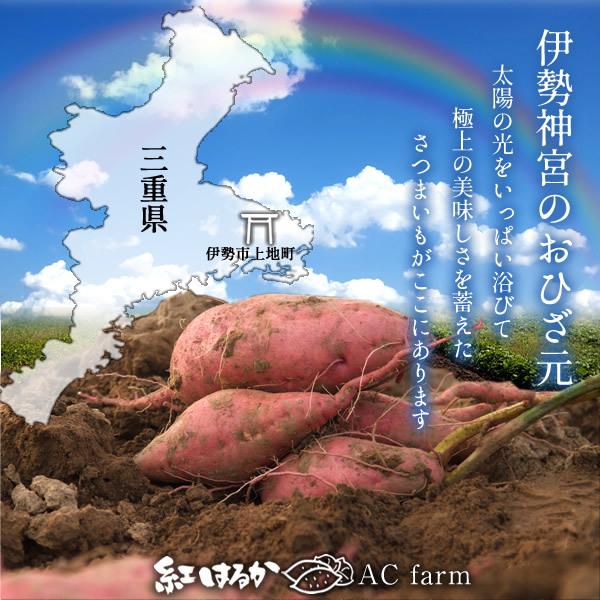 さつまいも 紅はるか 3kg 規格外 割れ 切れ 虫食い 三重県産 伊勢市 伊勢野菜 さつま芋 追熟 高糖度 生いも 秋冬野菜 送料無料 お中元 ギフト 40 Harukab 30 食コレ Japan Food 通販 Yahoo ショッピング