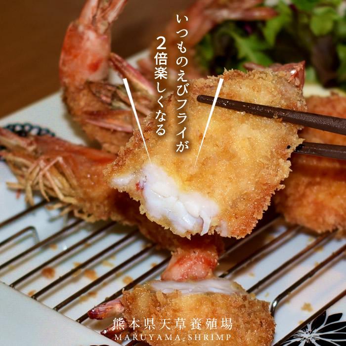 目玉商品 えび 車海老 有頭エビフライ 8尾入 5p 車エビ 海老フライ用 クルマエビの本場 熊本県天草 養殖場直送 おすすめ人気通販 産直 高級ギフト 匠の車えび 丸山えび 送料無料 お中元 ギフト 公式 Titanicgroup Com