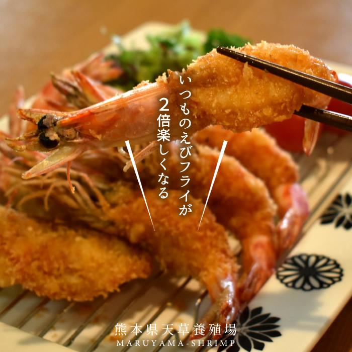 えび 車海老 有頭エビフライ 8尾入 5p 車エビ 海老フライ用 クルマエビ 熊本県天草 養殖場 匠の車えび 送料無料 御歳暮 ギフト 46 Ebi Fry Y85 食コレ Japan Food 通販 Yahoo ショッピング
