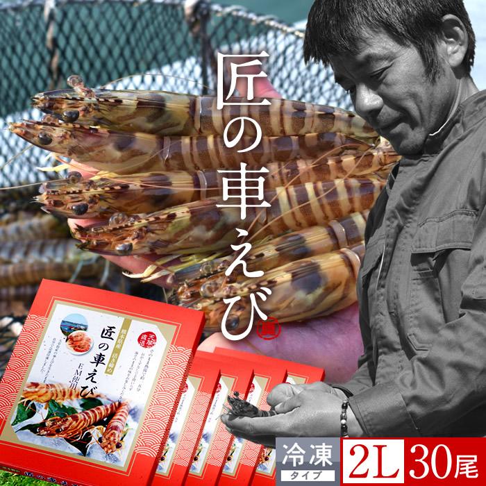正規品 えび 車海老 活〆冷凍 車えび 特大2l 6尾入 250g 5p 計30尾 車エビ 刺身用 熊本県天草 養殖場 匠の車えび 送料無料 父の日 ギフト 超歓迎 Zoetalentsolutions Com