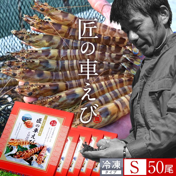 お得な特別割引価格 食コレ Japan Food車海老 刺身用 新物 活〆冷凍 クルマエビ S 50尾 250g 10尾入 5p 計1 25kg 熊本県上天草 匠の車えび 海老養殖場 産地直送 人気通販 新春 ギフト Haciendasantacruz Com Ec