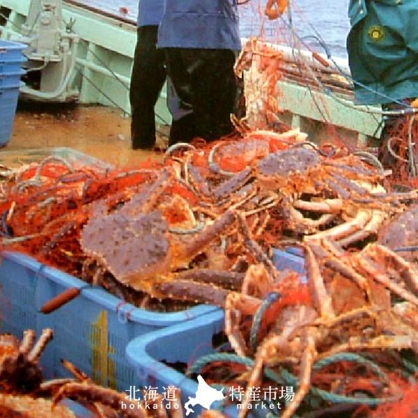 現品限り一斉値下げ 1kg ボイルたらばがに爪 たらばがに かに ギフト 通販 お土産 海鮮 おすすめ かに 北海道特産品 本たらば ギフト セール タラバ蟹爪 お歳暮 貴重 カニ
