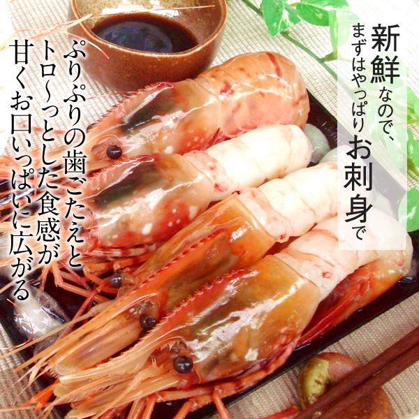 ボタンエビ ボタン海老 お刺身 ぼたんえび 特大 1kg 新鮮 北海道 大型 牡丹海老 格安 産直 ロシア産 人気通販 春ギフト お返し 5 Hokkai 543 食コレ Japan Food 通販 Yahoo ショッピング