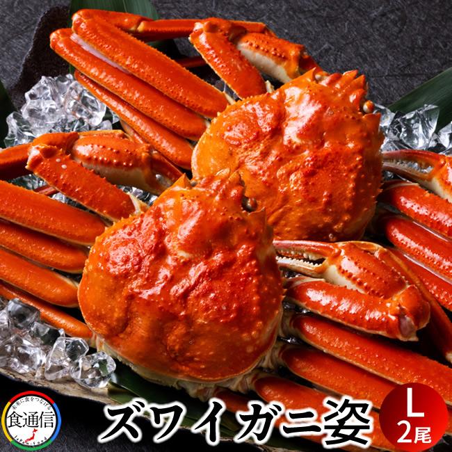 ボイルズワイガニ姿1キロ×2 ずわいがに姿 (2尾入）1kg ボイル かに ずわい蟹 ズワイガニ 姿［産直