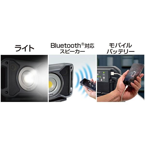 Tajima（タジマ） タジマ（TJMデザイン） LEDワークライトR401 LE-R401