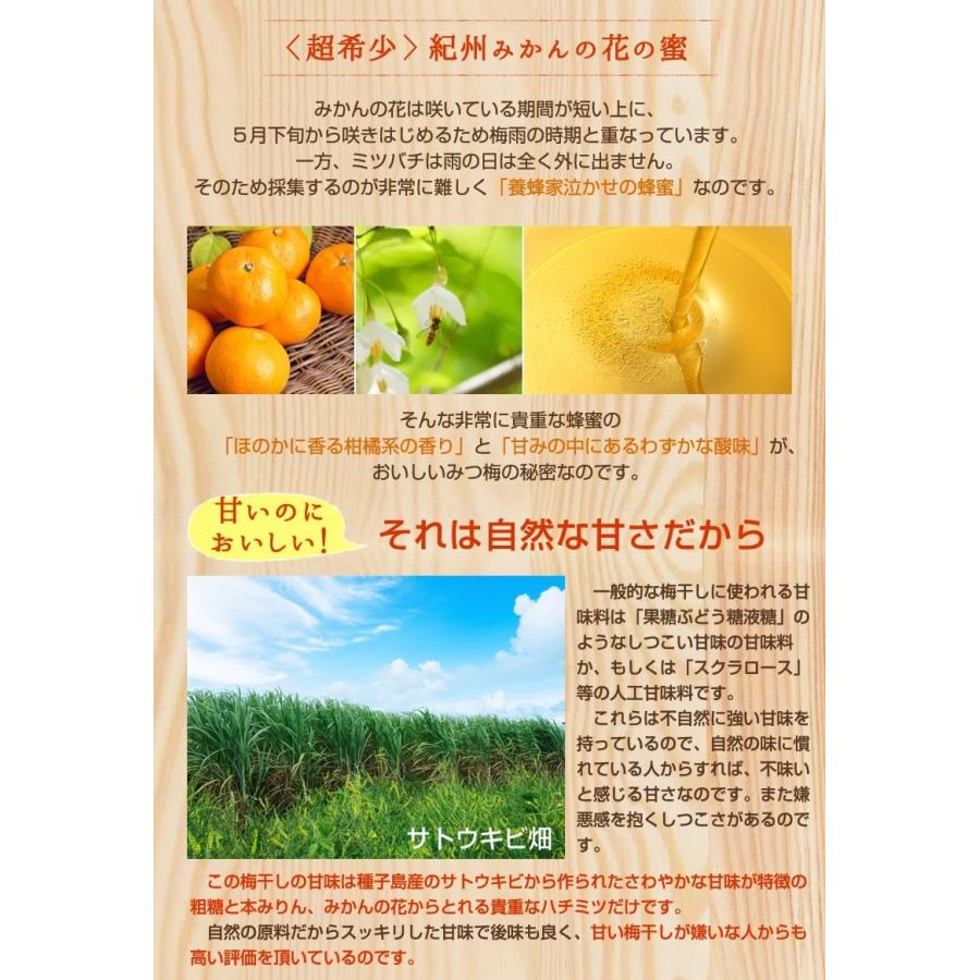 みちばあちゃんの梅干し みつ梅 100g はちみつ はちみつ梅干し 無添加 南高梅 はちみつ梅 ハチミツ 甘い 減塩 うめ Um 03 食のお医者さん 通販 Yahoo ショッピング