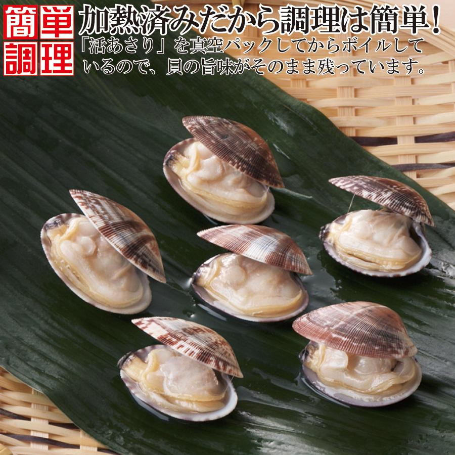 あさり アサリ 浅利 殻付きあさり ボイルあさり 殻付き 500g 貝 簡単 便利 ショクリュー 通販 Paypayモール