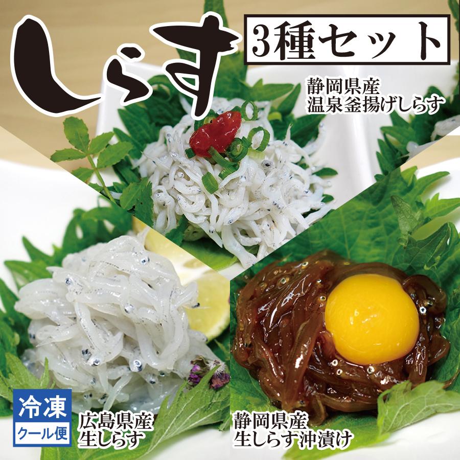 しらす 3種セット 釜揚げ 沖漬け 生 冷凍 ショクリュー 通販 Paypayモール
