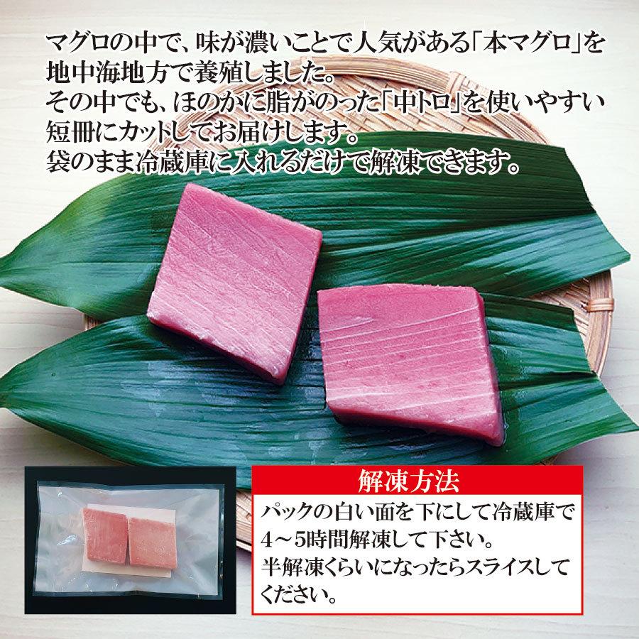 マグロ まぐろ 鮪 本マグロ 中トロ 冷凍 寿司 刺身 父の日 ショクリュー 通販 Paypayモール