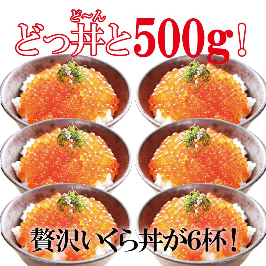 いくら 醤油漬け 500g ますこ 味付け 冷凍 鱒 魚卵 : ショクリュー