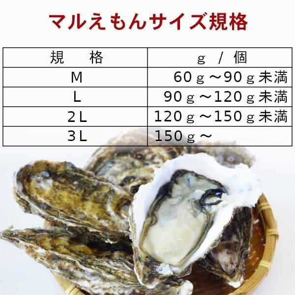お金を節約 牡蠣 生食用 カキ 殻付き マルえもん 2Lサイズ 10個セット 北海道厚岸産 お中元 御中元 ギフト 2022 プレゼント materialworldblog.com お金を節約 牡蠣 生食用 カキ 殻付き マルえもん 2Lサイズ 10個セット 北海道厚岸産 お中元 御中元 ギフト 2022 プレゼント materialworldblog.com